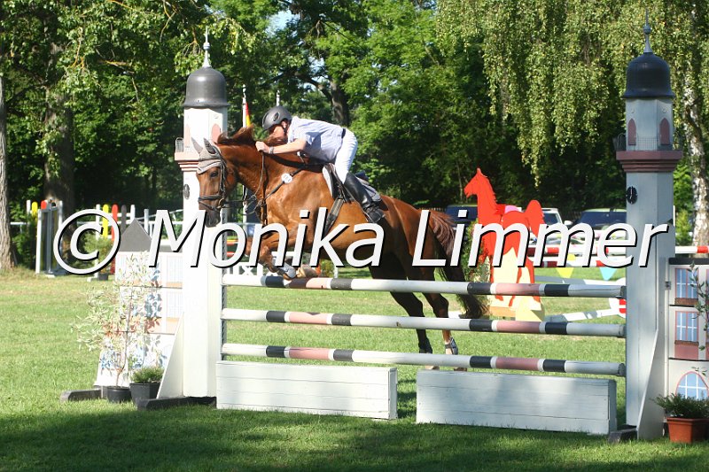 308M1172_Abalon_Spring L.JPG